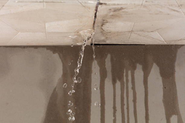 Professional Burst Pipe Cleanup technician working in Long Key, FL